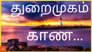 துறைமுகம் காண | துறைமுக நகரம் | அமெரிக்க துறைமுகம் | Santa Barbara USA harbor | USA Tamizh Inidhu |