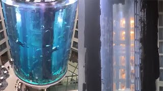 世界最大独立圆柱体水族馆爆裂：1500条鱼喷涌而出破裂画面曝光