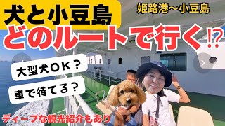 【犬とキャンプ】実家が小豆島の私が解説‼︎小豆島フェリー#114