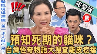 【新聞挖挖哇】奇聞怪談大集合！醫學期刊曝光「預知死期」的貓咪？吃飯前為何突然石化？菲律賓市長真實身分成謎？台灣怪奇物語搜查看到你雞皮疙瘩！20240722 來賓：姜泰宇、于治詮、洪素卿、許聖梅、林裕豐