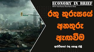 ආර්ථිකයේ රතු කොළ එළි | රතු කුරුසයේ අනතුරු ඇඟවීම | Economy in Brief