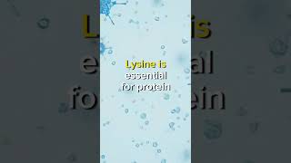 Unlocking Health Secrets: L-Arginine, BCAAs, and Lysine Explained #youtube #healthandwellness