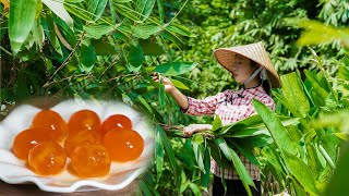 染饭花到制作成粽子，中间都是满满的爱，端午节到来之前先学着包粽子｜How to make Chinese Dragon Boat Festival food｜野小妹 wild girl