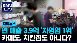 자영업 매출 1위? 연 매출이 무려 3억 9천만 원 / KNN