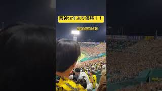 阪神タイガース18年ぶり優勝　歓喜の阪神ファン #甲子園 #阪神ファン #プロ野球 #阪神応援 #野球 #阪神タイガース #アレ