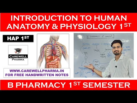 Introduction To Human Anatomy And Physiology 1st || HAP 1st || B ...