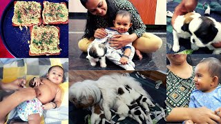 🐶 ಸಿರಿ ಎಷ್ಟು ಮರಿ ಹಾಕಿದೆ? Vlog । 👼 ಚಿನ್ನಿಮಾ ಎಷ್ಟು ಚೆಂದ ಆಡ್ತಾಳೆ ನೋಡಿ । kannada Vlog