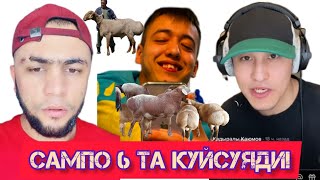 САРДОР САМПОНИ 6 ТА КУЙ ЕХСОН КИЛДИРДИ! САМПО НИМА ШАРТ БЕРДИ?