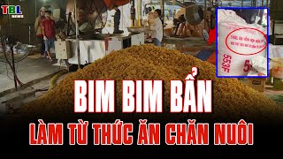 Bim Bim làm từ thức ăn chăn nuôi - chuột chết ngay tại chỗ sản xuất | TBL News