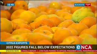 Citrus exports | 2022 figures fall below expectations