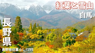 【長野移住】絶景スポットに北アルプスの紅葉と雪山を見に行ってみた!!｜聖高原｜白馬｜ドライブ｜田舎暮らし｜長野県｜4K