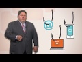 Making Cents of Phishing Scams
