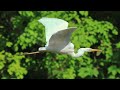 月形町　月ヶ海自然公園【ドローン 4k撮影】 月ヶ海自然公園