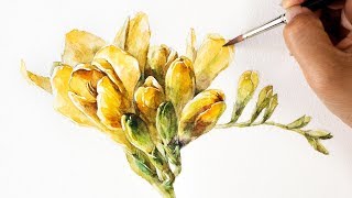 Watercolor Flower | Freesia