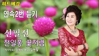 가수 신필선,천일홍 꽃처럼,연속2번 듣기,작사작곡/김대성,편곡/길현철