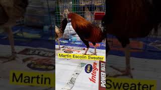 Martin Escolin Sweater | IGF Poultry Expo  #Shorts  #chicken