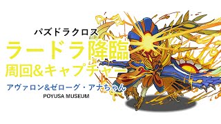 【パズドラクロス】ラードラ降臨の周回とキャプチャーパーティ紹介！【ゆっくり】