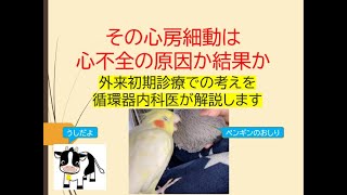 その心房細動は心不全の原因か結果か(初期診療時の考えを循環器内科医が解説します)