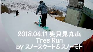 2018.4.11 奥只見丸山 Tree Run by ｽﾉｰｽｸｰﾄ\u0026ｽﾉｰﾓﾄ