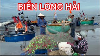 BIỂN LONG HẢI NGƯ DÂN ĐƯỢC MẼ CÁ MẠO