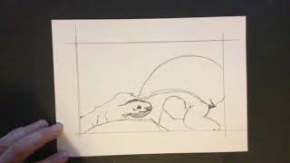 Drawrilla - Tortoise Pen Drawing