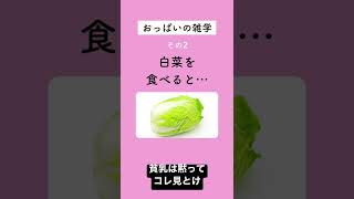 ナミみたいにお胸が大きくなる雑学