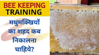 शहद निकालने का सही समय || Right time to Harvest Honey || मधुमक्खी पालन