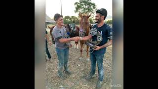 Prêmios Pep Diego FLI X Nino de Adauto. Vaquejada, patrimônio cultural do Nordeste Brasileiro!