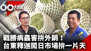 戰勝病蟲害拚外銷！　台東釋迦闖日市場拚一片天【60分鐘 精華】 @chinatvnews