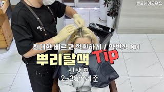 탈색약 바르는팁 [2~3Cm 원터치 기준 / 뿌리탈색 노하우 2]