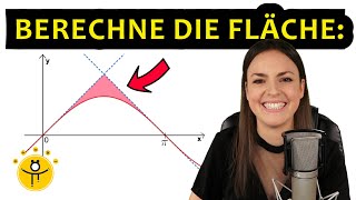 Mathe ABITUR Analysis – Aufgabe Integralrechnung