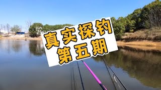 真实探钓点第五期，山塘探钓狂口爆护！！！#2023dou来钓鱼 #户外