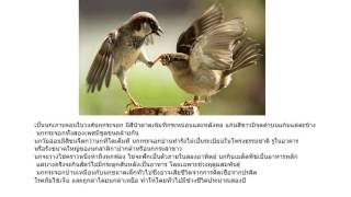 งานชิ้นที่ 3