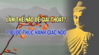 7 Bước Tu Hành để GIÁC NGỘ GIẢI THOÁT chấm dứt Sanh Tử Luân Hồi và An Lạc ngay hiện tại