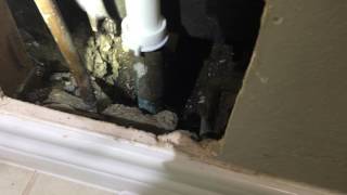 Shower Leaking Into The Wall