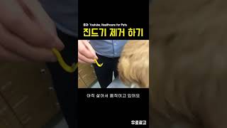 [광고] 완벽한 진드기 제거 방법 설명란 및 댓글 확인