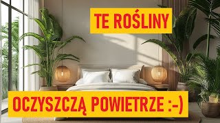 Kwiaty doniczkowe do sypialni. Przy nich dobrze się wyśpisz :-)