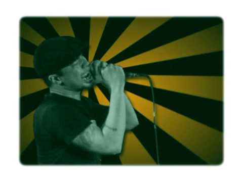 Shaggydog Kembali Berdansa