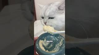 奶昔猫罐头 猫咪嘎嘎爱吃，补水的同时补充营养快赶紧拿给猫猫吃吧 猫罐头 萌宠好物