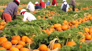 How OKLAHOMA Farmers Harvest Over 35,1 Million Acres Of Farmland