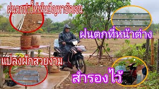 ฝนตกทำให้เห็นปัญหาบ้านชัดเจน \u0026 ออกไปไหนมา#พิราวรรณ#บ้านสวน#