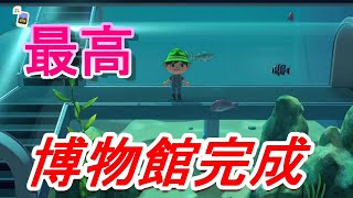 【あつ森】博物館完成！キレイすぎてすごすぎる！【あつまれどうぶつの森