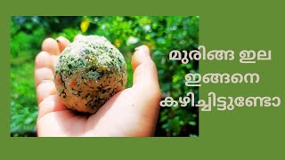 മുരിങ്ങയില ചമ്മന്തി muringa ila chammanthi || sammanthi || muringayila