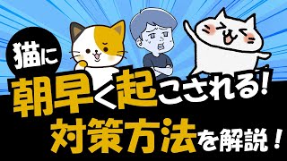 【必見】猫に早朝起こされて困っている時に試す6つの対策を解説