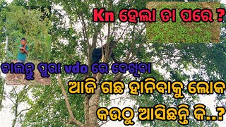 କଣ ଚାଲିଛି ଆଜି ବାଡି ରେ ..?