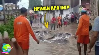 Warga Garut Geger!! Pasca Banjir Bandang, Muncul Ikan Aneh Sebesar Manusia.. | Fenomena Alam Terbaru