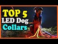 ✅Top 5 Best LED Dog Collars in 2022