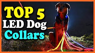 ✅Top 5 Best LED Dog Collars in 2022