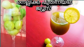 Gooseberry Mint Juice/Summer drink/Healthy hair, weight loss and Diabetes