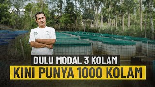 3 KOLAM JADI 1000 KOLAM CARA BUDIDAYA LELE UNTUK PEMULA PASTI CUAN!